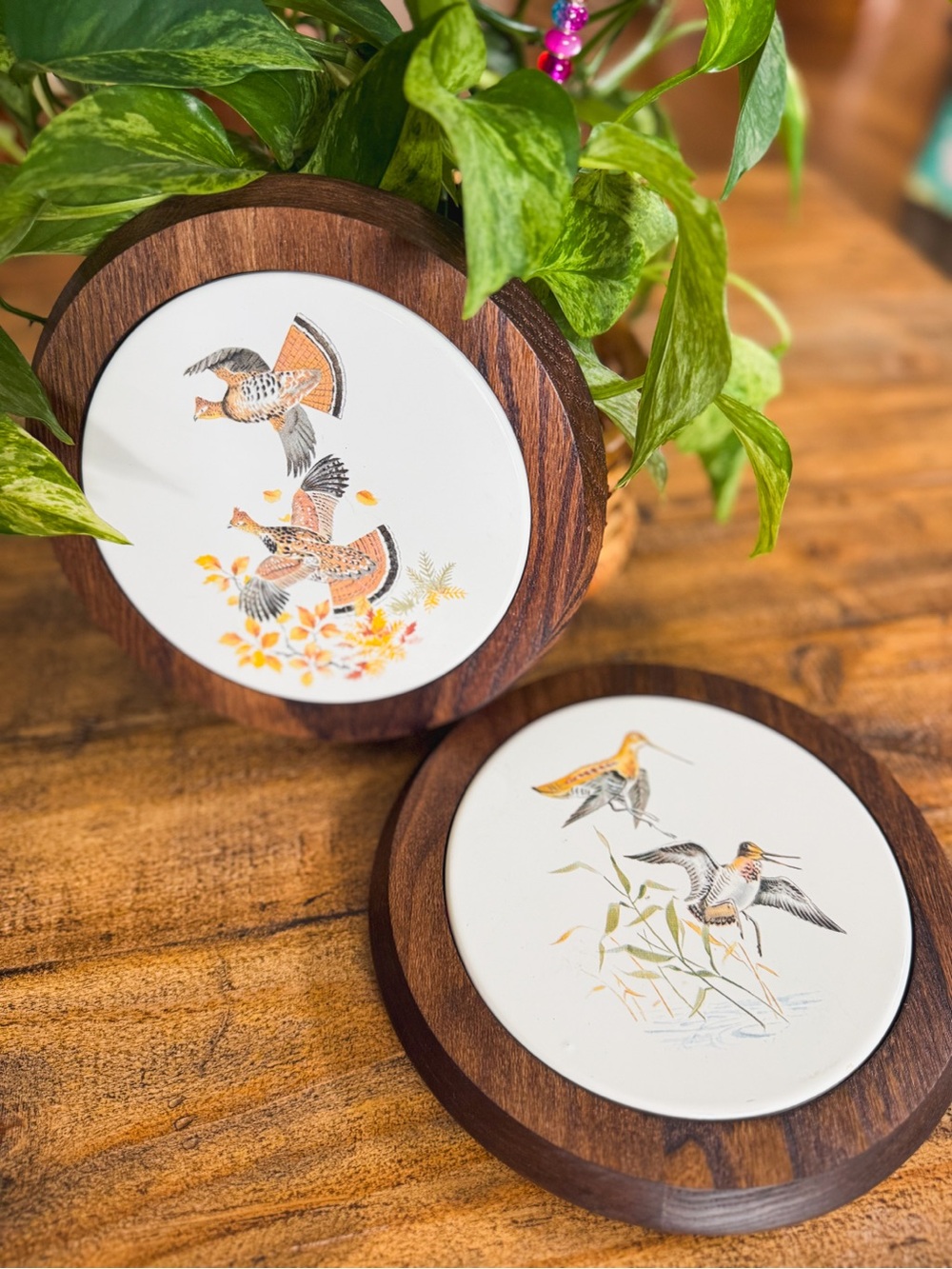Vintage Ceramic Bird Tile wall hanging with Wood Frames
